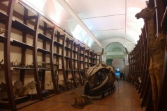 reg_piemonte-2